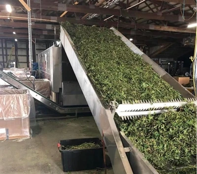 Best Sell Hemp Drying Machine in American