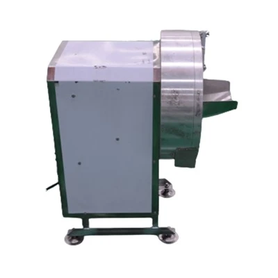 Automatic Vegetable Slicing System