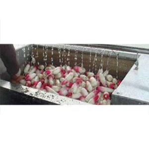 Fruit Washing Machine