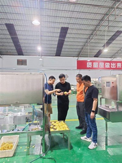 Heavy Duty Garlic Peeling Machine