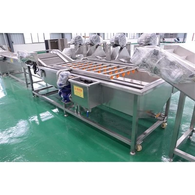 High Capacity Fruit and Vegetable Washer