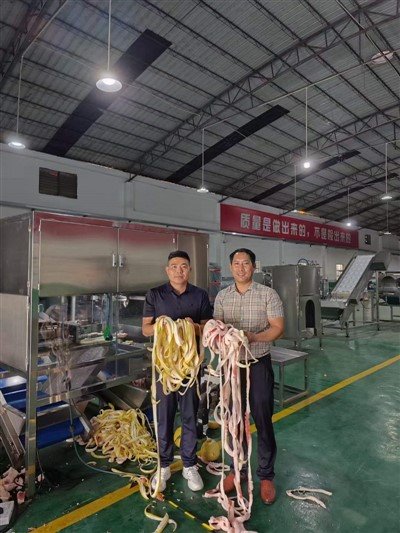 High Efficiency Fruit Peeler
