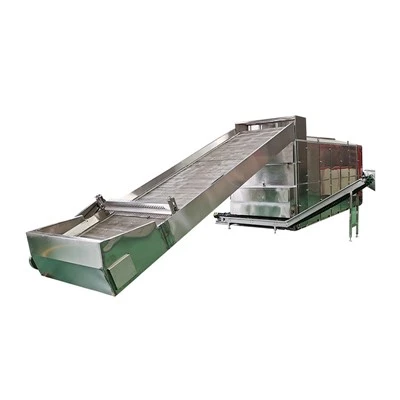 Industrial Vegetable Dehydrator