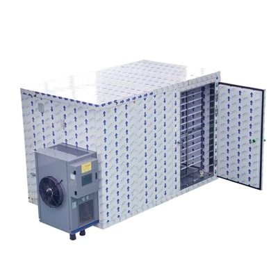 Display Of Silkworm Cocoon Drying Effect