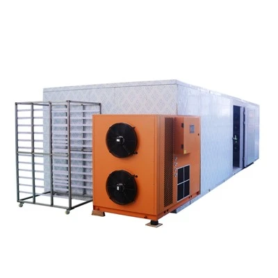Drying Equipment For Drying Morels And Other Fungi