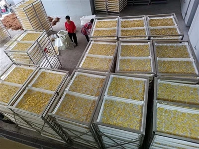 Potato Chips Drying Machine