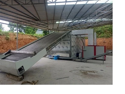 Mesh Belt Drying Process
