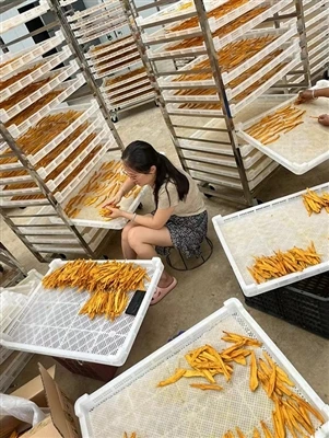 Drying Equipment For Drying Mangoes