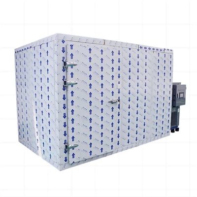 Onion Drying Machine